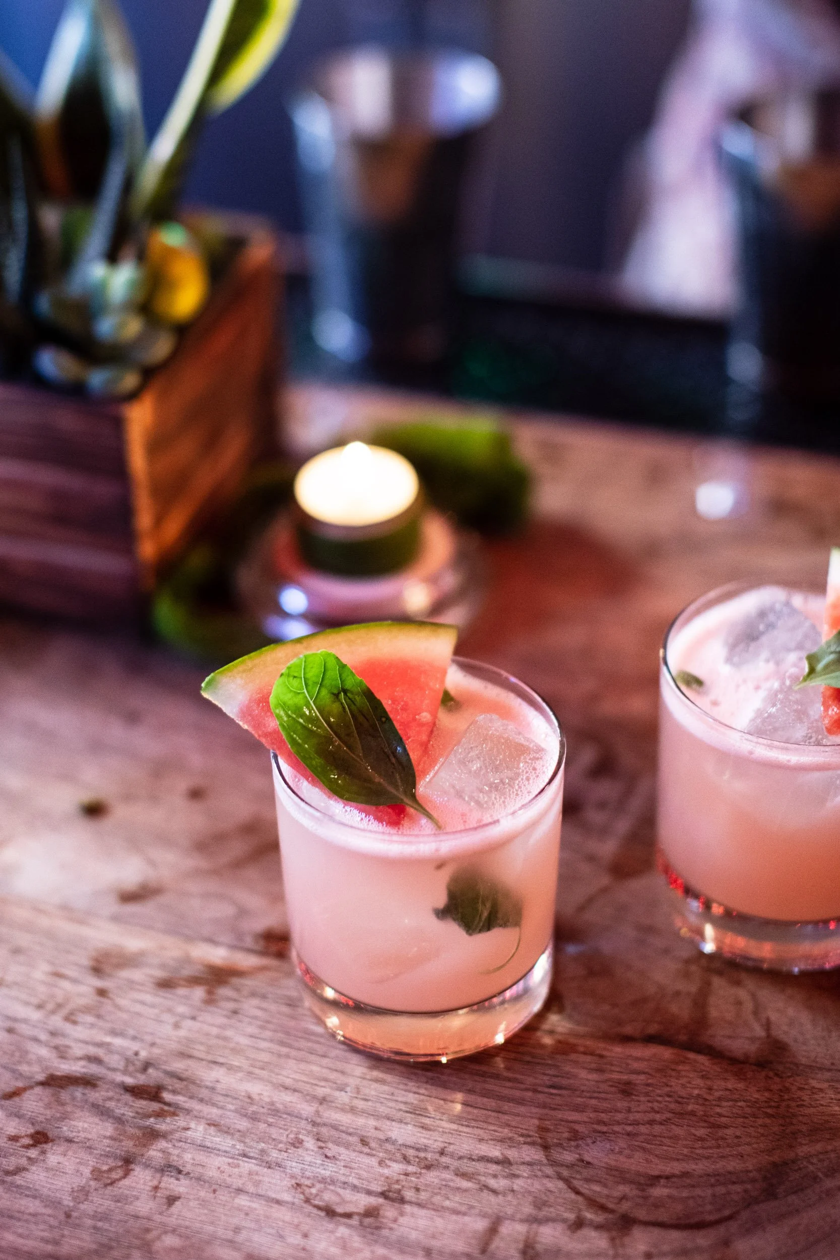 Patron-4.jpg