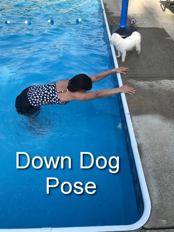 Stand at arms length from the side of the pool. Place your hands on the side of the pool at shoulder height. Inhale, and as you exhale, slowly walk your feet back until your spine is parallel to the floor. Hold. Inhale and walk toward the side of the pool. Repeat. 
