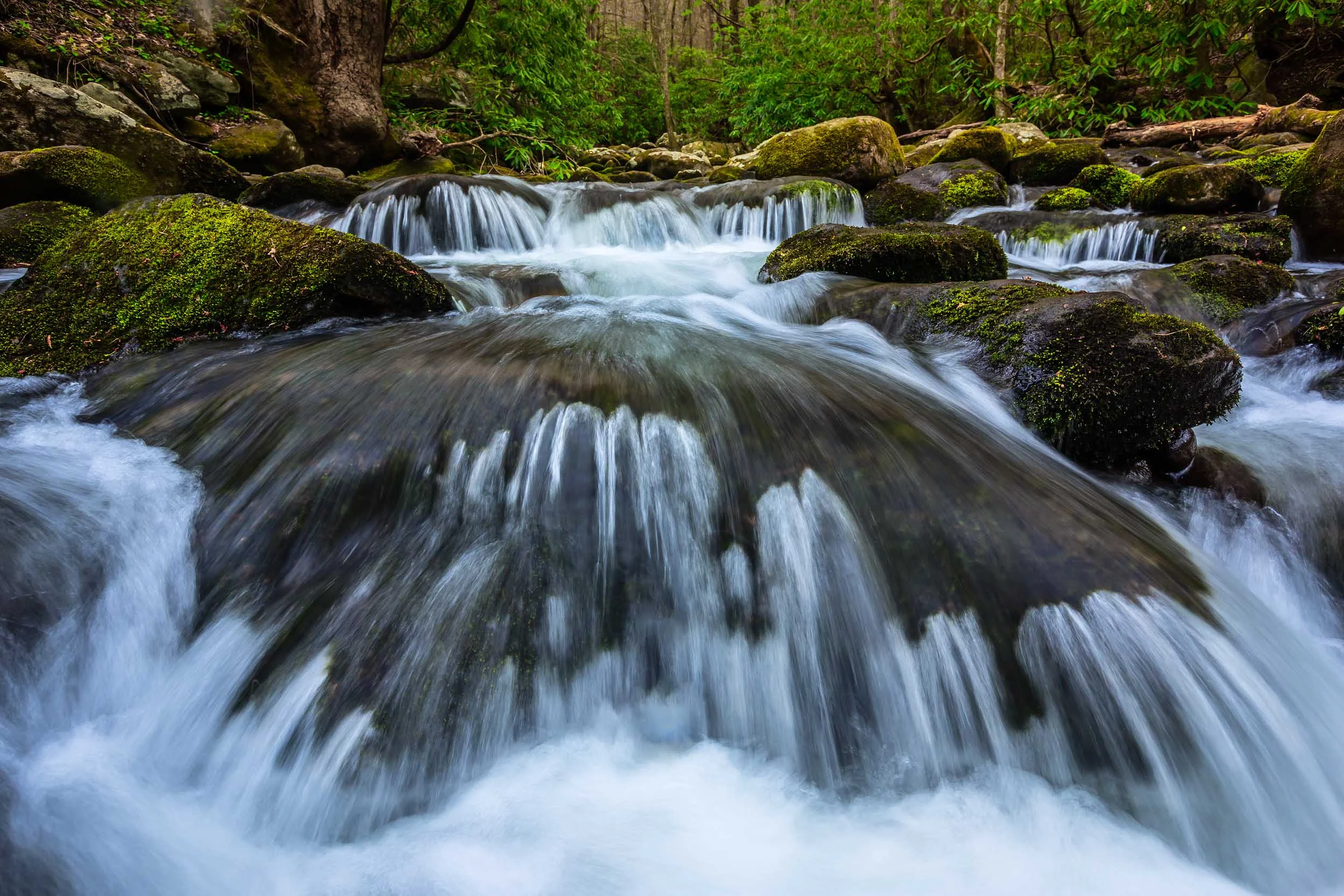 20140414_Roaring_Forks_027-Edit-Edit.jpg