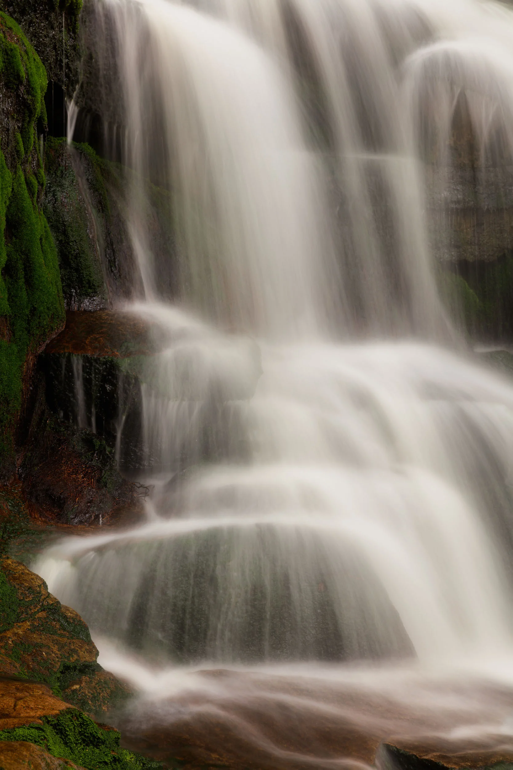 20170520_Elakala_falls_070-Edit.jpg