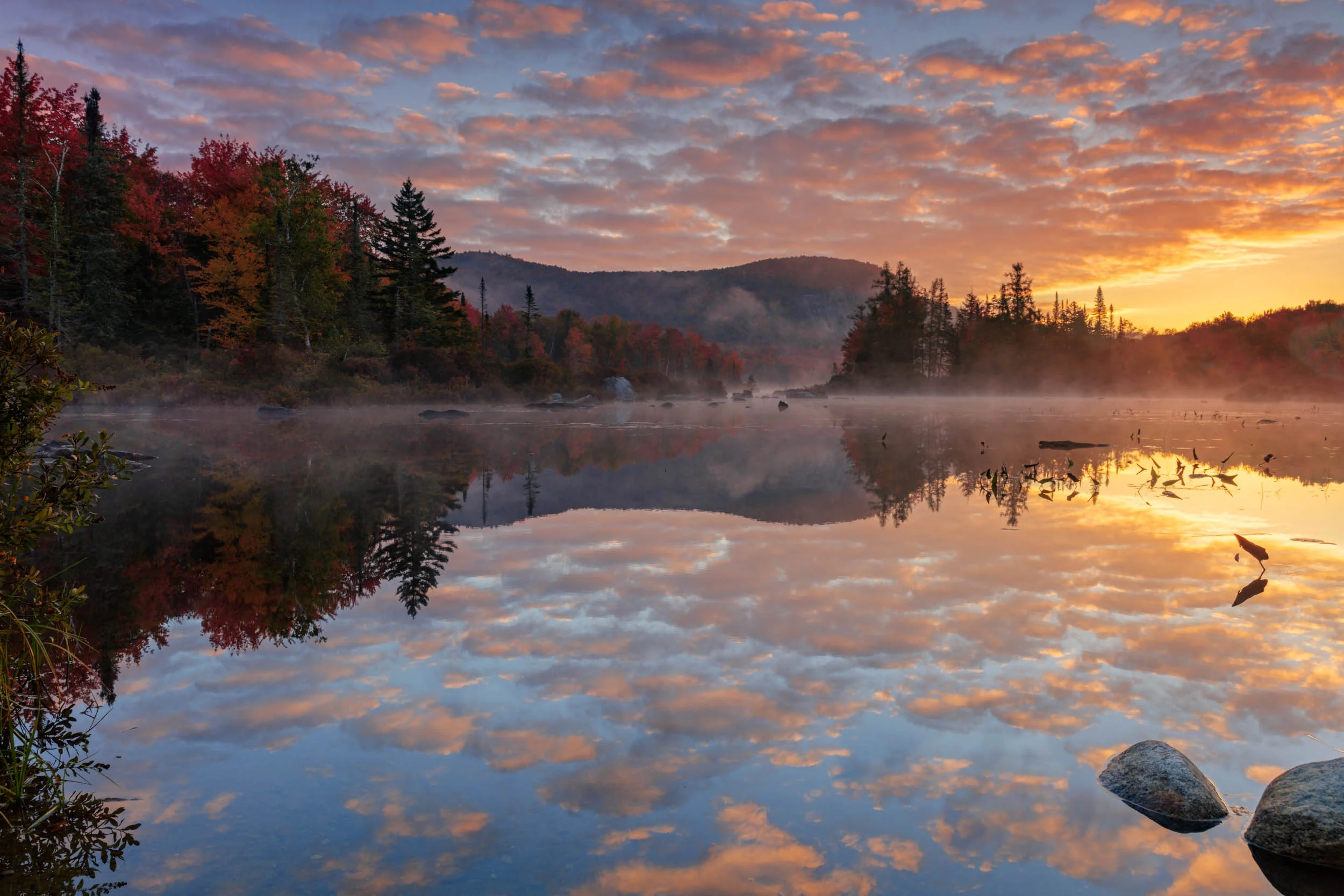 20161005_Marsh_field_pond_032-HDR-Gurwin.jpg