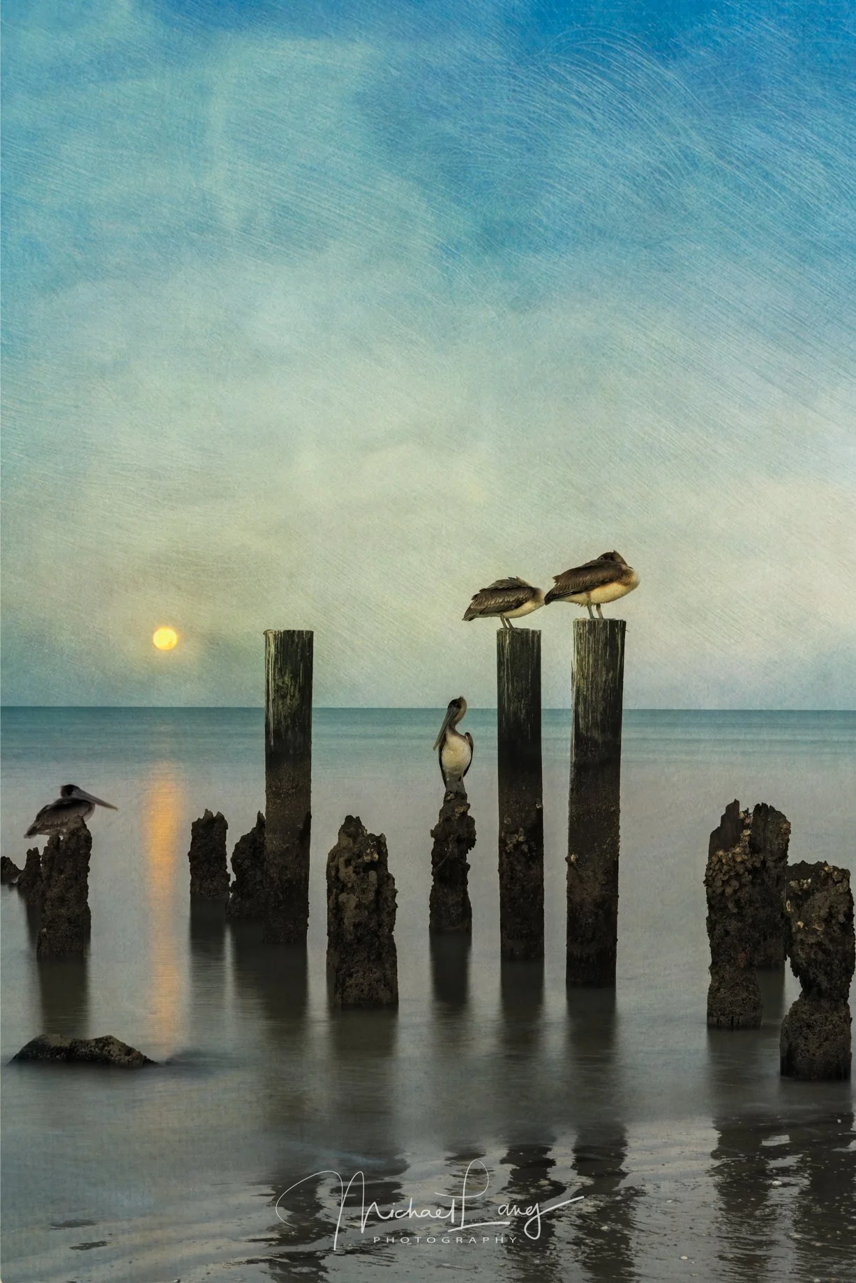 Diaphanous Dawn
