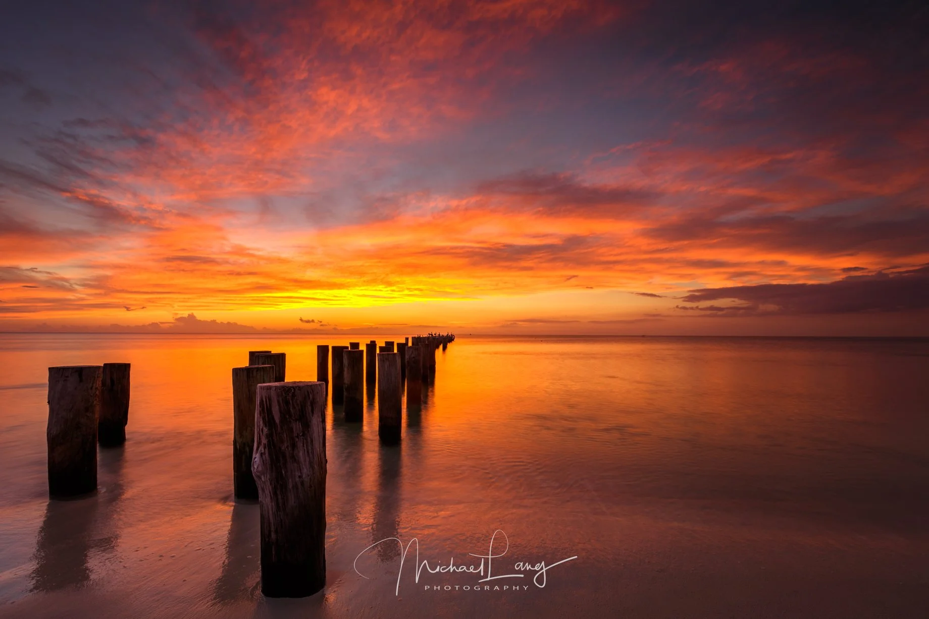 Fire in the Sky