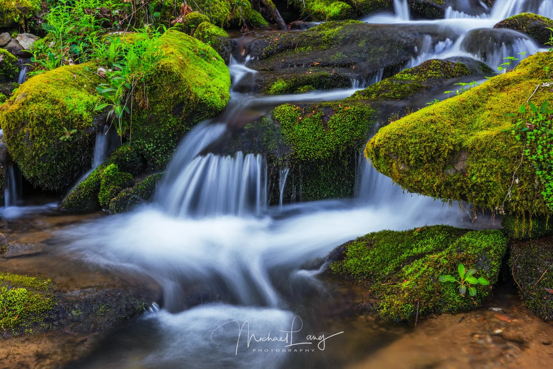 Emerald Cascade