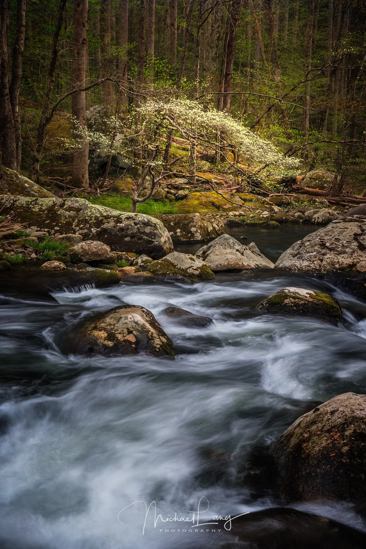 Tranquility