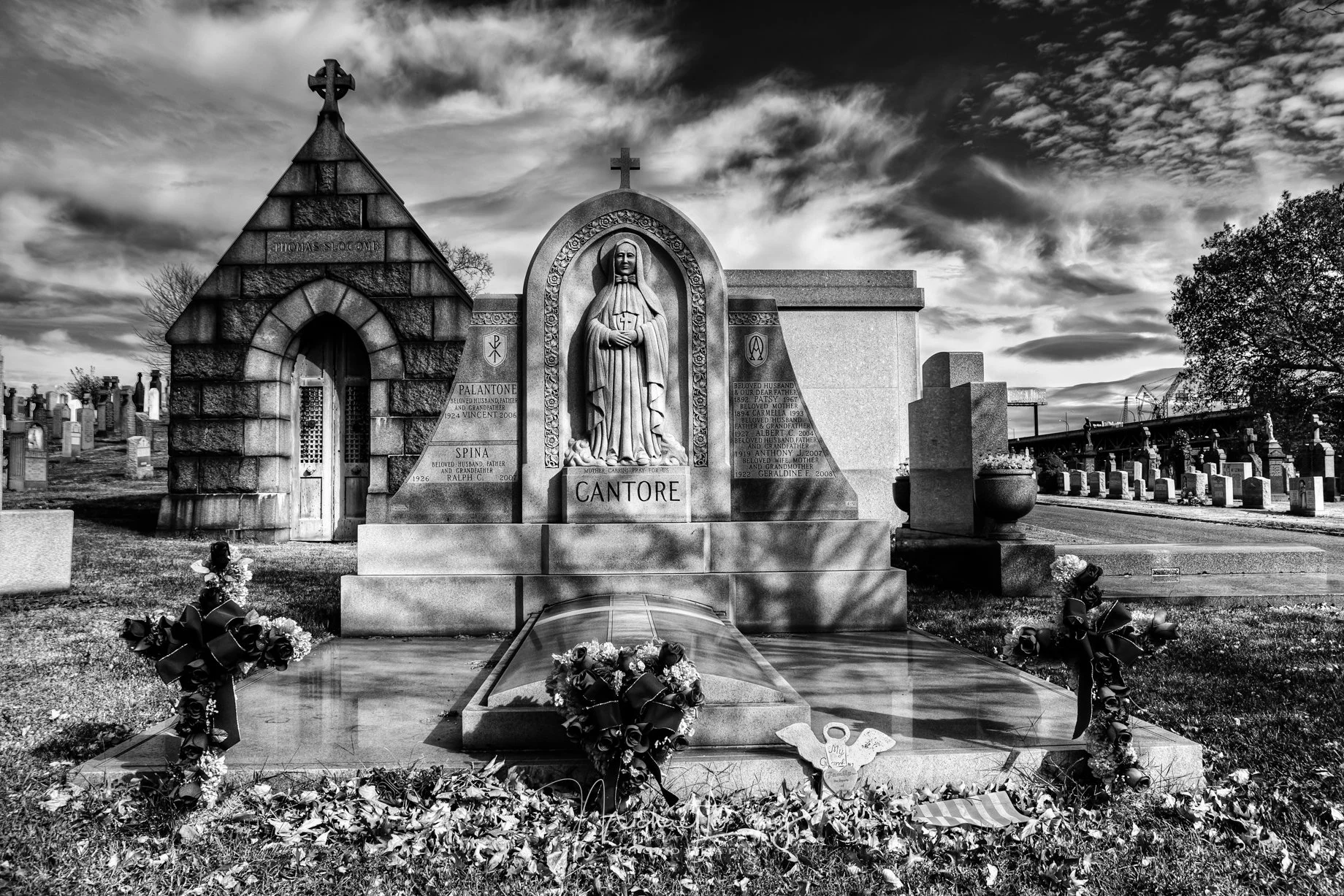 Dearly Departed