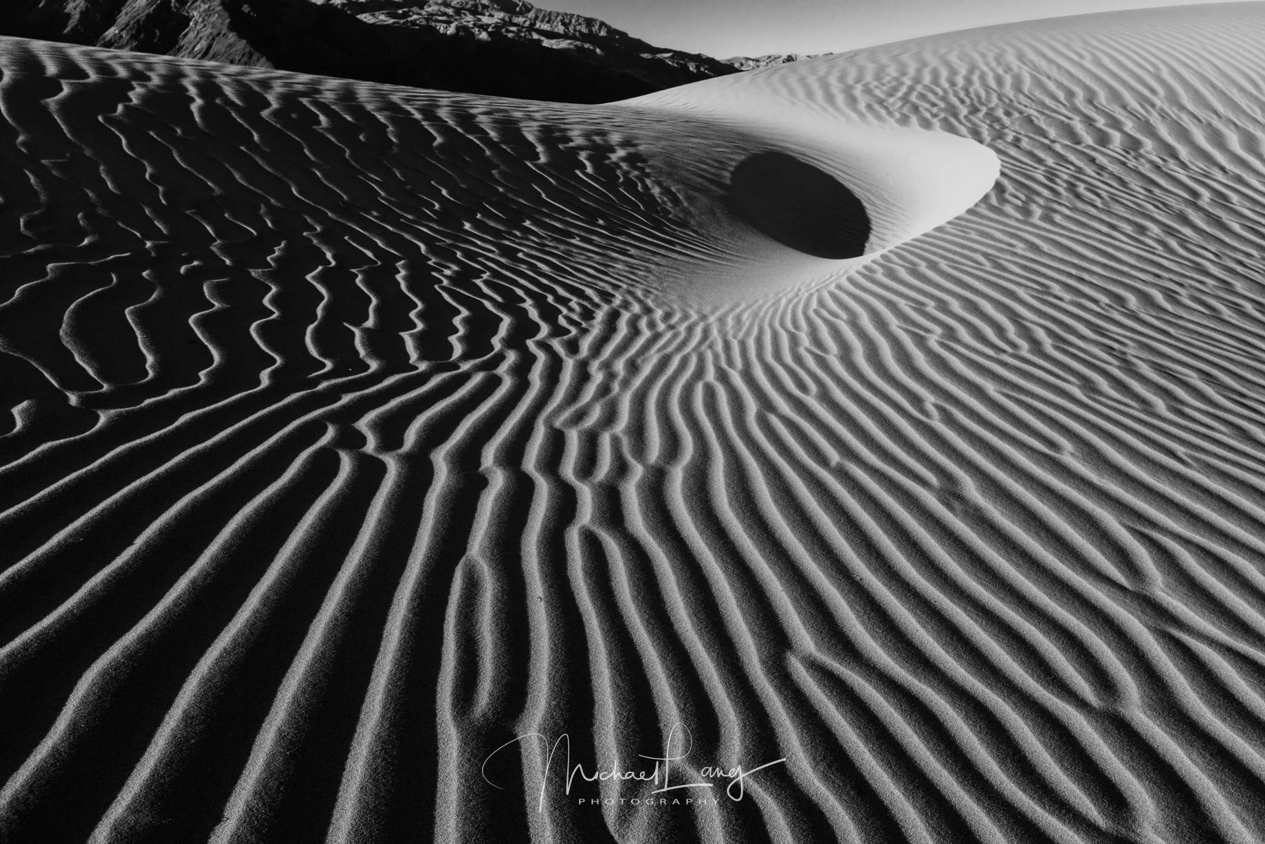 Desert Vortex