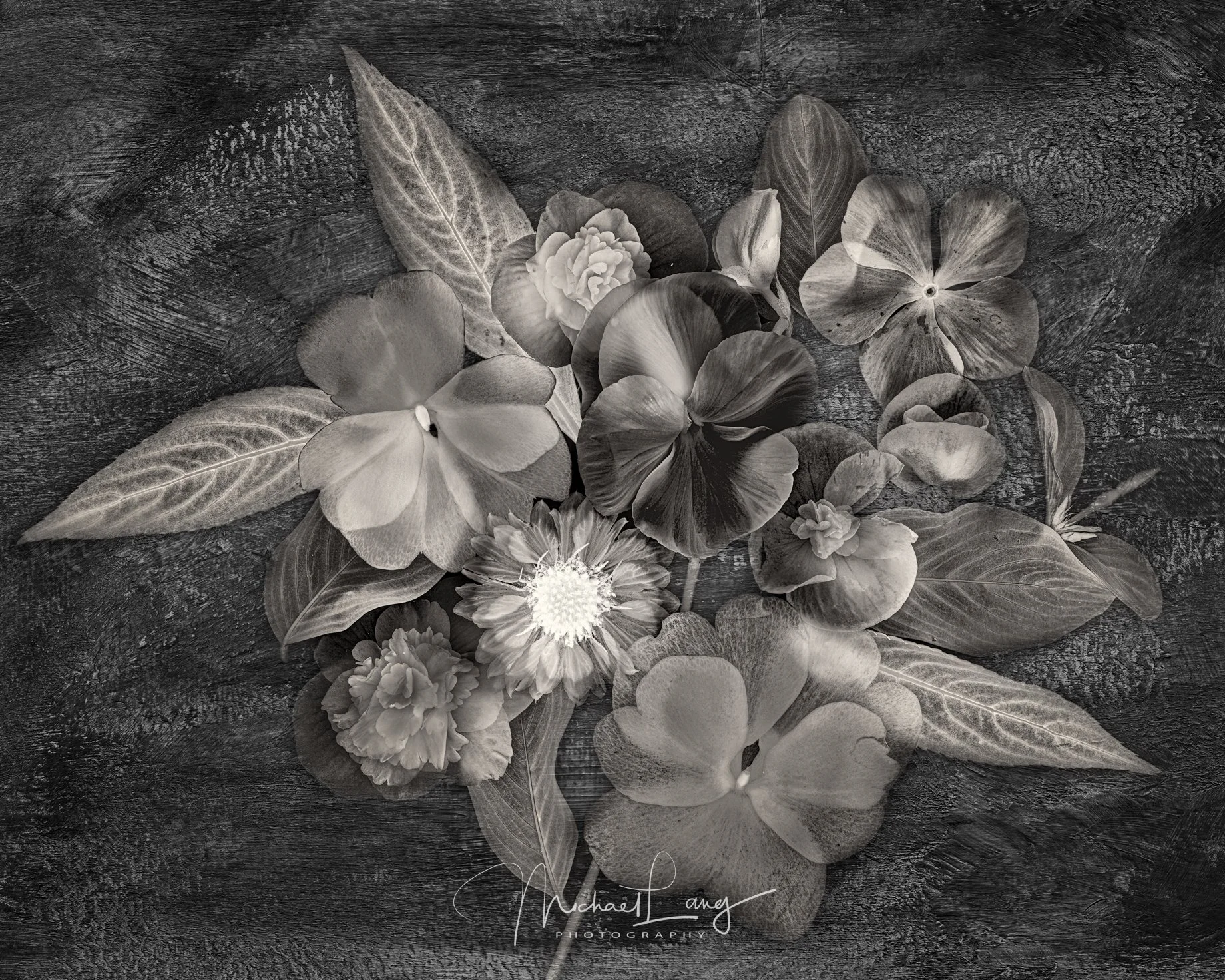 20200909_Home-Floral_983-LAB-BW-Texture.jpg