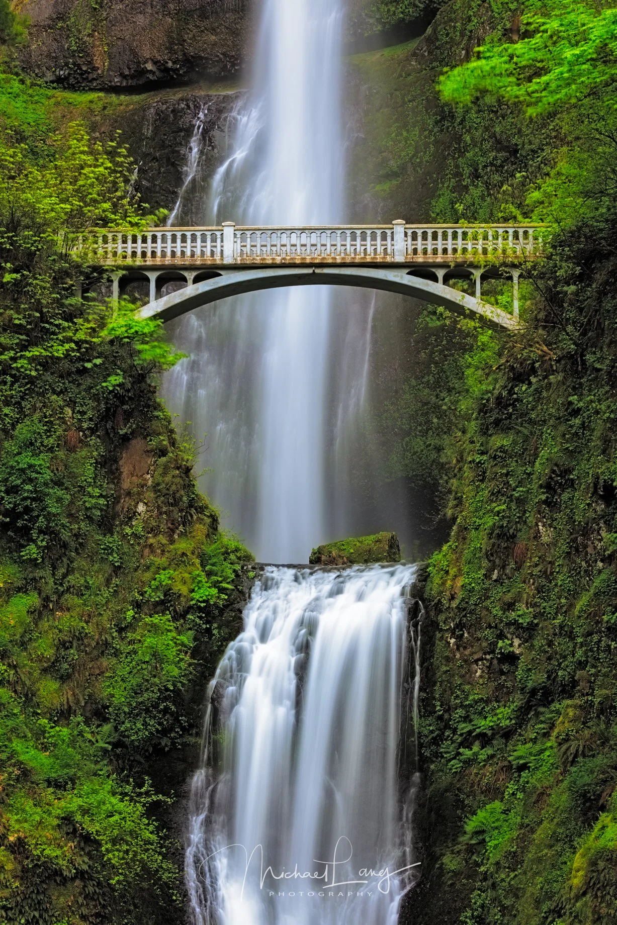 Multnomah Moment
