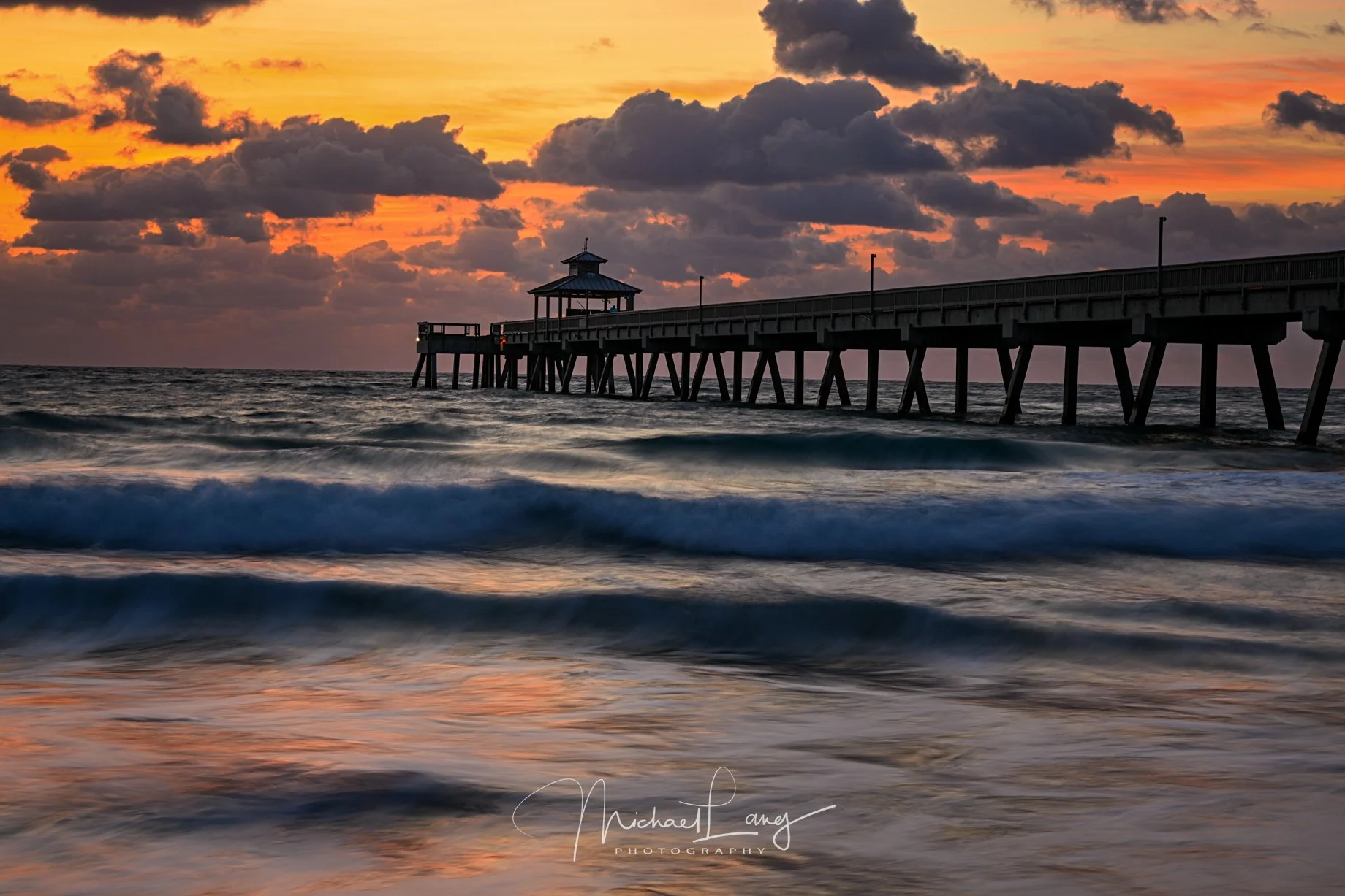 20230309_Wakodahatchee_3639-Edit.jpg