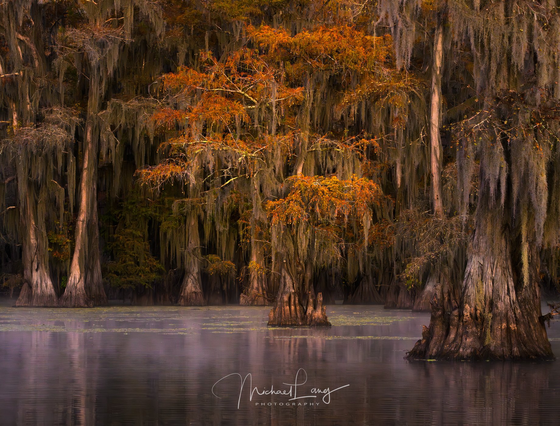 Autumn Stillness