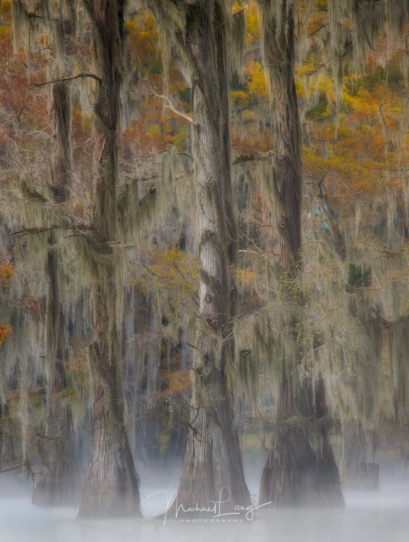 Guardians of the Bayou