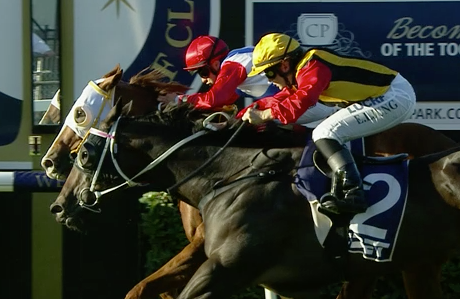 Lost by a nose! Closest of 2nds ... that cost us well over $300 return!