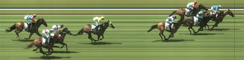 Bendigo Race 4 No.3 Sarkozy @ $13 - unlikely price Result : Non Qualifier - Unplaced at SP $17.00 🏆🏆🏆🏆🏆🏆 Bendigo Race 4 No.6 Dennis @ $9.50 - watch price Result : 1st at SP $8.00, Best Tote $8.10, Betfair $9.49. Had the run of the race and took full advantage of it to hit the front with just under 200m to go and held on for the win. Outccome +5.71 Units.