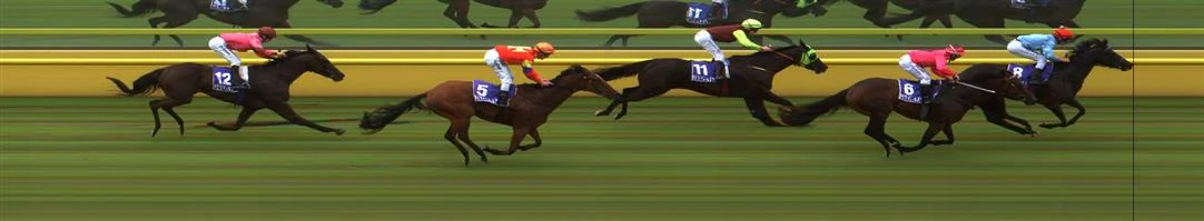 Echuca Race 2 No.5 Malawi Gold @ $9, watch price Result : 4th at SP $5.00. From the back was widest on the turn and at about the 200m mark, you thought Malwai was a hope but that when he peaked in its run and finished a couple of lengths from the main pack. Outcome -1.25 Units. Echuca Race 2 No.6 Wild Moon @ $5 (1.25 UNITS WIN) Result : 2nd at SP $5.50. Was three wide from just before the turn, who kept on finding though the winner found a gap from the back and stormed home to win on the line. Outcome -1.25 Units.