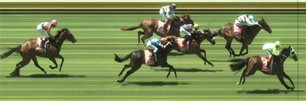 Sandown Race 2 No.5 Ormito @ $10 - watch price Result : Non Qualifier - Unplaced at SP $10.00 Sandown Race 2 No.6 Azuro @ $3.30 (2.18 UNITS WIN) Result : 2nd at SP $3.40. Looked to have the race sewn up as it hit the front at the 300m mark, but the winner, Yogi, sprouted wings late to nab it on the line. Outcome -2.18 Units. Sandown Race 2 No.8 Kellstorm @ $10 - watch price Result : Non Qualifier - 4th at SP $9.00