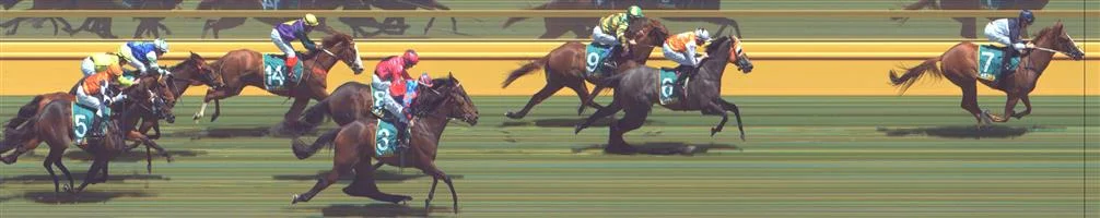 Donald Race 2 No.1 Amon @ $26 - price unlikely Result : Non Qualifier - Unplaced at SP $91.00 ⭐Donald Race 2 No.8 Wild Moon @ $3.30 (2.18 UNITS WIN) Result : 4th at SP $2.15. Speed went on from just before the turn and Wild Moon was under hard riding without making up ground from just behind the speed. Outcome -2.18 Units.