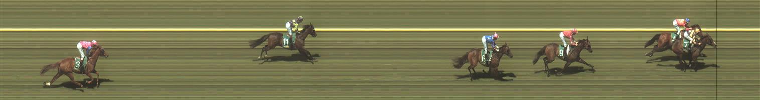 Geelong Race 3 No.4 Malawi Gold @ $4.20 (1.57 UNITS WIN) Result: 2nd at SP $3.70. Was a battle between the first two for the whole race, We had the rails during the run, Majestic Halo sat outside. Strong battle in the straight but Majestic Halo just a little to good to win by a head. Close. Outcome -1.57 Units.