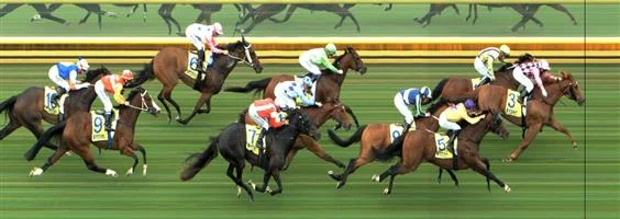 Sandown Race 5 No.11 River Jewel @ $6 (1 UNIT WIN) Result: 2nd at SP $8.00. After sitting third behind the leaders, joined in at the 400m mark, received a bump or two up the straight from the eventual third place horse, tightened for room as well and only went down by a neck. A little cleaner run and it could have been a different story. Outcome -1.00 Units.