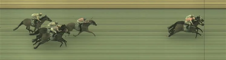 📫 WARRNAMBOOL Race 8 No. 7 Indian Thunder @ $5 (1.25 UNITS WIN) Result : 2nd at SP $6.50. While everyone went wide at the turn, Indian Thunder cut the corner and hit the lead. Unfortunately couldn’t hold on in the inferior ground going down by a nose in a close photo finish. Outcome -1.25 Units. 📫 WARRNAMBOOL Race 8 No. 8 Wetakemanhattan @ $3.40 (1.5 UNITS WIN) Result : Unplaced at SP $2.80. Was leading on he turn though went to the middle of the track and lost track of the leaders to finish midfield. Outcome -1.50 Units.