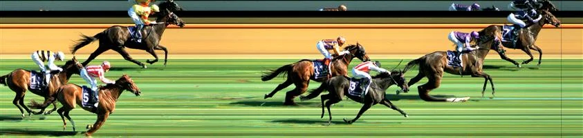 Flemington Race 8 No.9 Savaheat @ $6.50 (0.91 UNIT WIN) Result : Unplaced at SP $7.50. Loomed to win briefly in the straight on the inside which was its peak in its run and ended up 5th. Outcome -0.91 Units. Flemington Race 8 No.13 Prinz Hlodowig @ $31 - price unlikely Result : Non Qualifier - Unplaced at SP $12.00