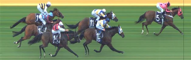 Sandown Race 8 No.8 Savaheat @ $7.50 (0.77 UNIT WIN) Result : Non Qualifier - Unplaced at SP $12.00 Sandown Race 8 No.13 Cullingworth @ $26 - this isn't the worst here and we have rated much less than this. You may want to take a small e/w saver here, not official. Result : Non Qualifier - Unplaced at SP $51.00