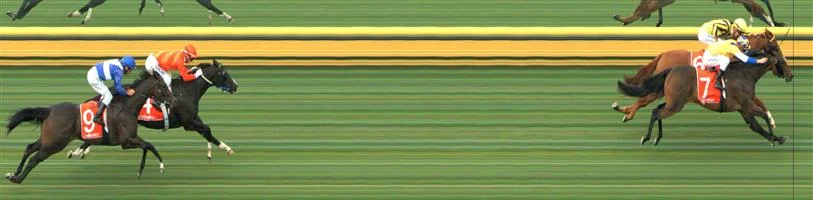 SANDOWN HILLSIDE Race 1 No. 6 Convict Sam @ $3.20 (1.5 UNITS WIN) Result: 2nd at SP $4.20. In the field of five, came from the back as was hard ridden 600m out. Saved ground on the turn and went for inside runs. In the final 100m or so it was a battle between Convict Sam and Smiling City (SP $2.40) and on the line Smiling City head was down, Convict Sam head was up. Outcome -1.50 Units.