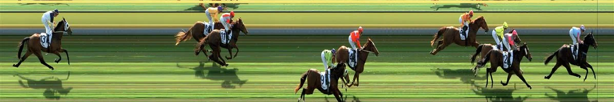 🏆🏆🏆WARRACKNABEAL Race 2 No. 5 Scarface Romeo @ $1.90 - (1.5 UNITS WIN) Result: 1st at SP $2.15, Best Tote $2.40, Betfair $2.71. Settled midfield and made its move mid race going up three wide with cover to have a share of the lead on the turn and went on with it in the straight to score by about a length. Good ride, made the right race moves. Outcome +2.85 Units. WARRACKNABEAL Race 2 No. 6 Calliandra Girl @ $11 - (0.5 UNIT WIN) Result: Unplaced at SP $15.00. Settled in the lead but dropped out early in the straight to finish towards the tail of the field. Outcome -0.50 Units. WARRACKNABEAL Race 2 No. 16 Sirius Deal @ $14 - (0.39 UNIT WIN) Result: 3rd at SP $5.00. Nice market support. Coming from the last part of the field, was wide on the turn making its run but was never a winning threat always a fair bit behind the winner. Outcome -0.39 Units.