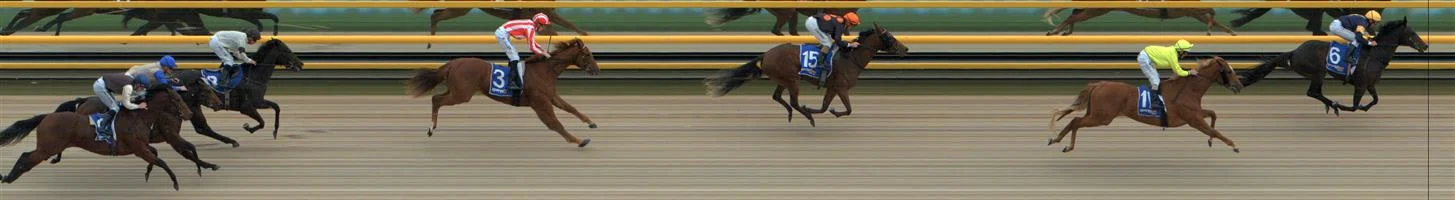 BALLARAT SYNTHET Race 1 No. 8 Super Bazooka @ $20 Result : Unplaced at SP $51.00. Settled towards the tail of the field though while finished slightly better than midfield, ran okay to the line. Outcome -0.26 Units. BALLARAT SYNTHET Race 1 No. 9 The Banjo @ $18 Result : Unplaced at SP $26.00. Settled in the second half of the field, though battled okay to the line to finish midfield. Outcome -0.29 Units.