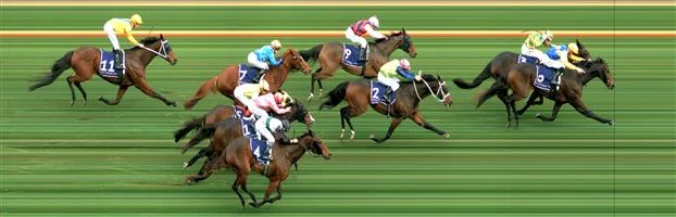 FLEMINGTON Race 6 No. 5 Connery Result : Unplaced at SP $3.80. Settled midfield but never ran on in the straight and finished midfield. Outcome -1.50 Units. IMAGE UNAVAILABLE EAGLE FARM Race 8 No. 4 Oregons Day Result : 4th at SP $81.00. Traveled three wide the trip with cover on the back of the eventual winner. Peeled out in the straight and while ran okay to the line could not match the speed of the winners. Outcome -0.06 Units. EAGLE FARM Race 8 No. 12 Naantali Result : Unplaced at SP $91.00. Settled in the second half of the field, but never sighted in the straight as a chance and finished midfield. Outcome -0.06 Units.