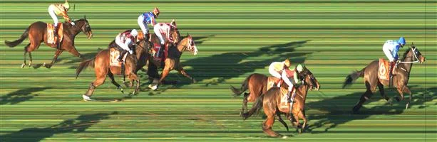 SANDOWN HILLSIDE Race 6 No. 8 Lagerfeld Result : Unplaced at SP $3.60. Settled midfield but in the straight never ran on and finished towards the tail of the field. Outcome -1.50 Units. SANDOWN HILLSIDE Race 6 No. 11 Sang Choi Bao Result : Unplaced at SP $41.00. Settled towards the tail of the field, stayed towards the inside in the straight though never made any real progress. Outcome -0.13 Units.