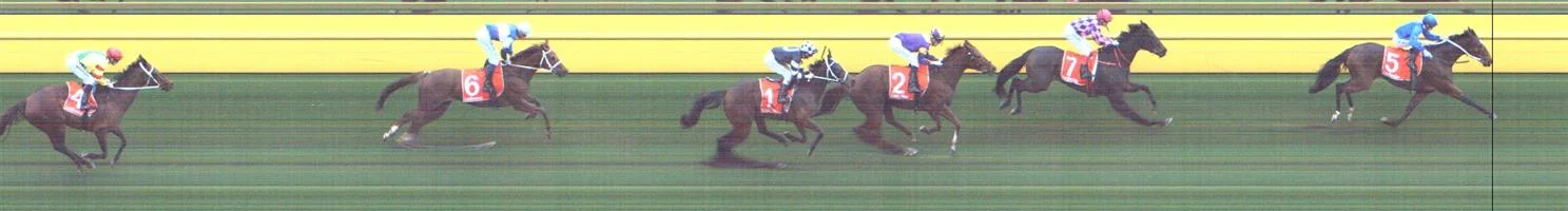 CAULFIELD Race 7 No. 7 One More Try Result : 2nd at SP $2.30. Settled in second outside the leader and eventual winner. The winner kicked on the turn and from then on One More Try was no match for the winner but held second comfortably. Outcome -1.50 Units. NO IMAGE AVAILABLE CALOUNDRA Race 6 No. 2 Junipal Result : 2nd at SP $3.60. Settled in fifth but on the turn was caught in traffic and while the winner kicked clear, Junipal was just getting clear and finished well to get second. Maybe with a bit more luck, the result could have been different. Outcome -1.50 Units. NO IMAGE AVAILABLE CALOUNDRA Race 7 No. 6 Sopressa Result : 2nd at SP $11.00. Lead for 2300m of the 2400m race though found one better and just could not hold off all the challengers despite a very good run. Outcome -0.50 Units.