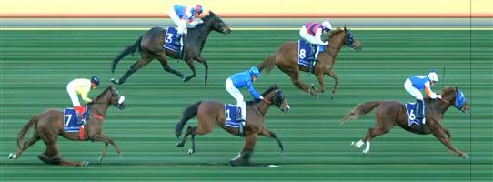 FLEMINGTON Race 6 No. 9 Killavally Result : Unplaced at SP $2.80. Settled midfield and was under pressure a long way out and struggled and finished in the last part of the field. Outcome -1.50 Units. NO IMAGE AVAILABLE MORPHETTVILLE P Race 5 No. 5 Tristano Result : Unplaced at SP $2.90. Lead the small field but was beaten off with 200m to go and finished at the tail of the field. Outcome -1.50 Units. NO IMAGE AVAILABLE 🏆🏆🏆🏆 EAGLE FARM Race 7 No. 5 Azuro Result : 1st at SP $2.70, Best Tote $2.50, Betfair $2.93. Settled midfield one off the rails in the distance race of the day. With the slow pace, made a mid race to go up to the lead fairly easily. From then on controlled the race and was never really challenged for the win. Outcome +4.05 Units.