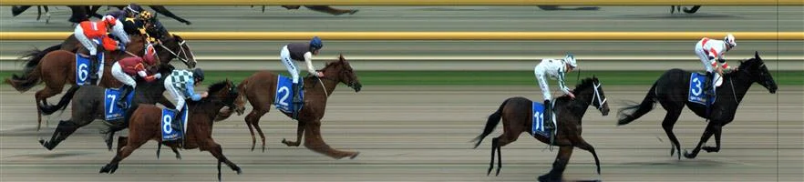 RACING.COM SYNTH Race 8 No. 12 Western Sun Result : 3rd at SP $6.50. Coming from a midfield position, grinded home to finish third, though in the straight never going well enough to run down the leaders. Outcome -0.91 Units.