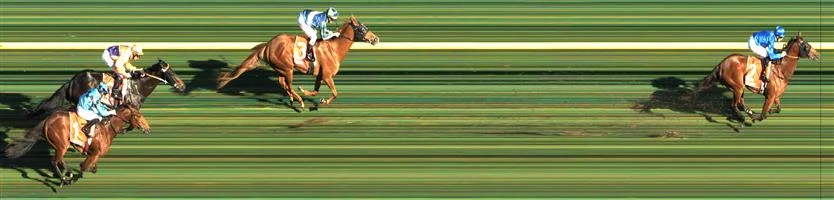 CAULFIELD Race 5 No. 1 Dubious Result : 4th at SP $3.20. After settling at the tail of the field, was being niggled at heavily prior to the turn and only really got going late when the race was over to finish in fourth. Outcome -1.50 Units. NO IMAGE AVAILABLE KEMBLA GRANGE Race 6 No. 12 Niewand Result : Unplaced at SP $7.50. Settled on the rails in a three way share of the lead. After initially finding in the straight for a long did struggle in the final couple of hundred of meters and finish a little worse than midfield. Outcome -0.77 Units.
