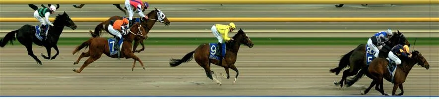 RACING.COM SYNTH Race 3 No. 9 Sirius Deal Result : 4th at SP $4.80. Coming from midfield, hooked out on the turn and was in the leading pack with about 100m to go or so but couldn’t sustain the pace and dropped out slightly to finish fourth. Outcome -1.32 Units.