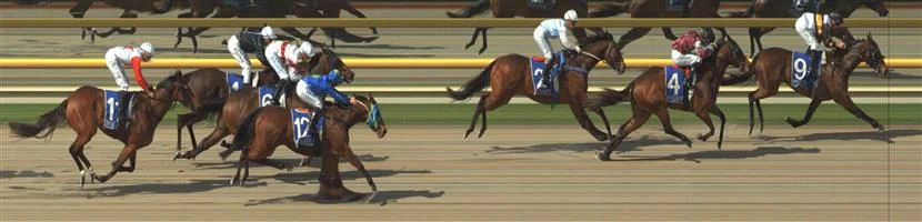 RACING.COM SYNTH Race 3 No. 10 Coombe Lane Result : Unplaced at SP $7.50. In the second half of the field and only held its ground in the straight. Outcome -0.77 Units.