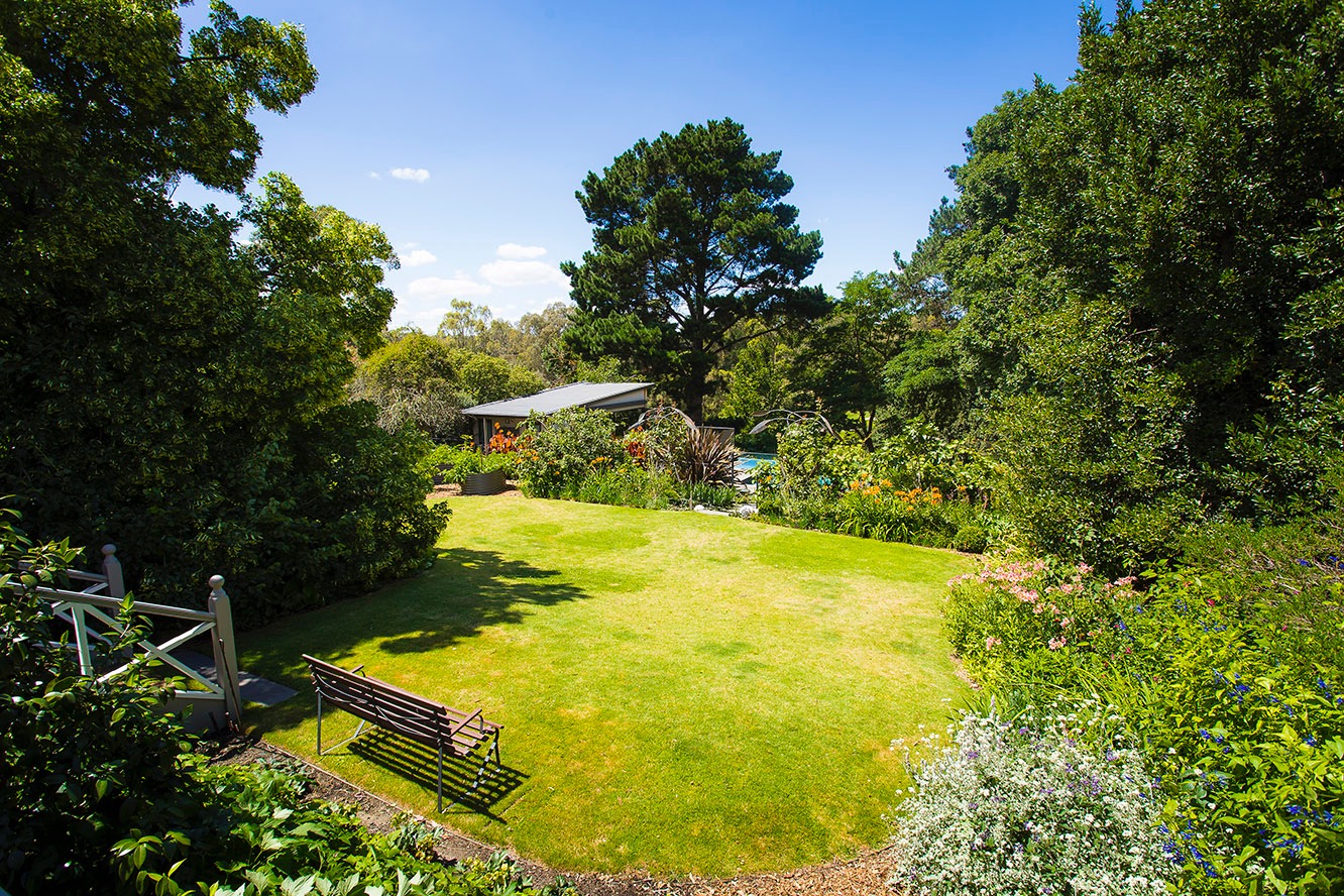 Alphington garden-092.jpg