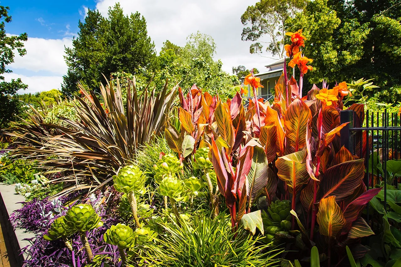 Alphington garden-008.jpg