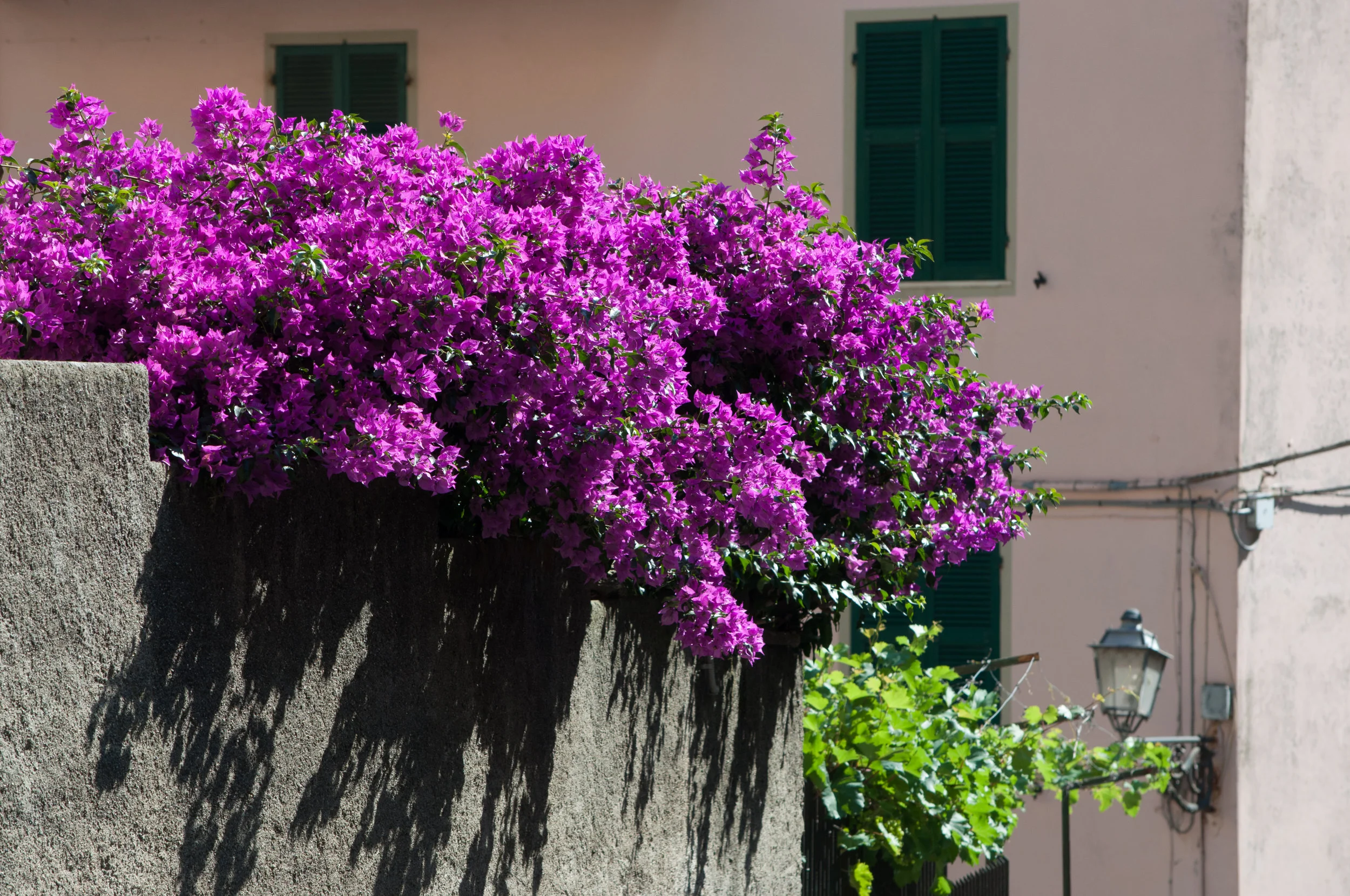 Italy & France 2011 400.jpg