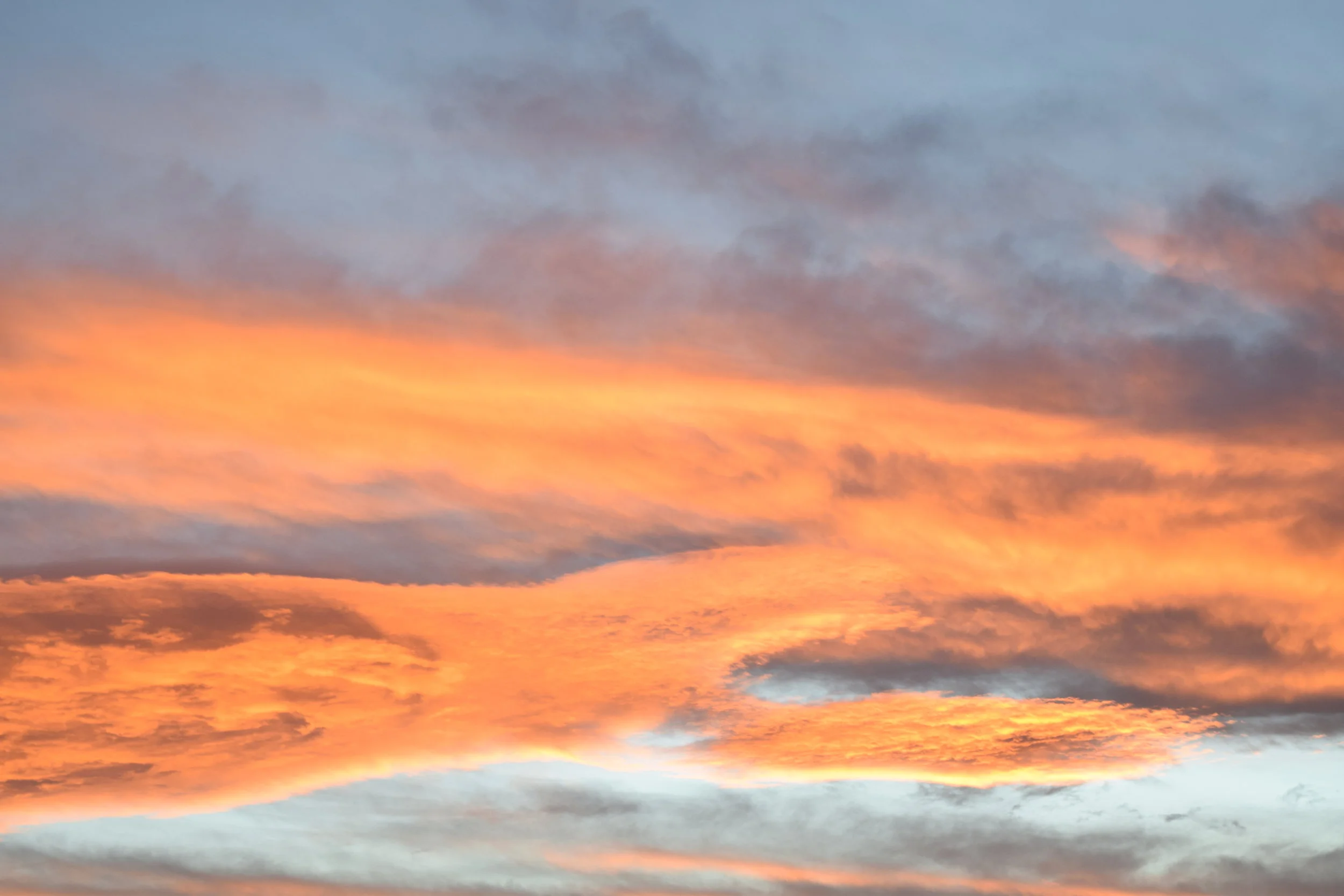 Albuquerque_2016 (12)