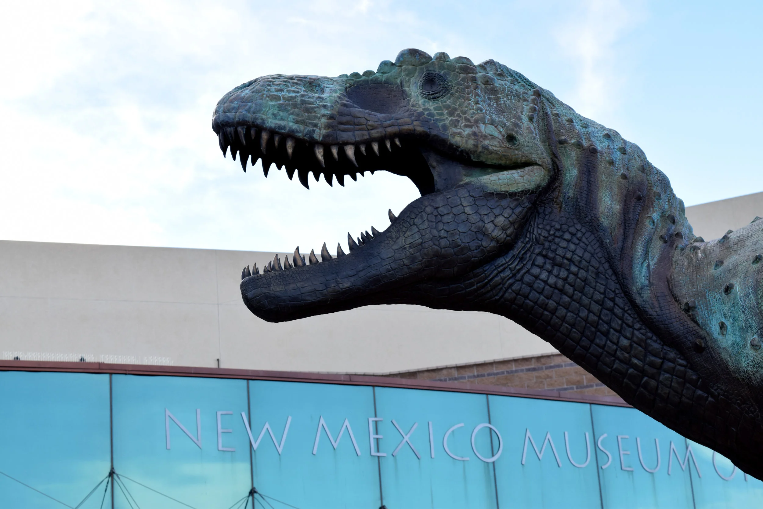 Albuquerque_2016 (8)