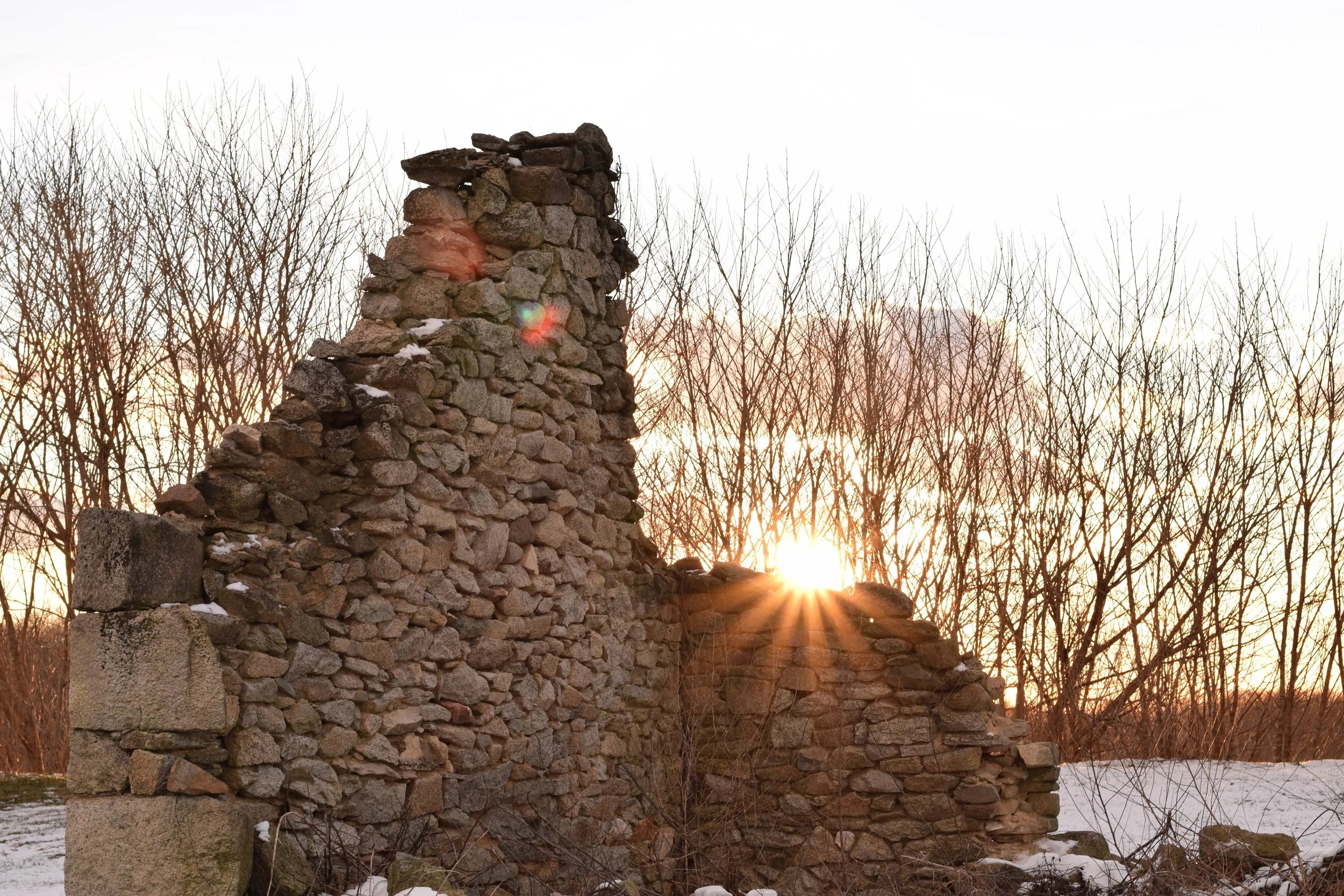 DSC_0183c