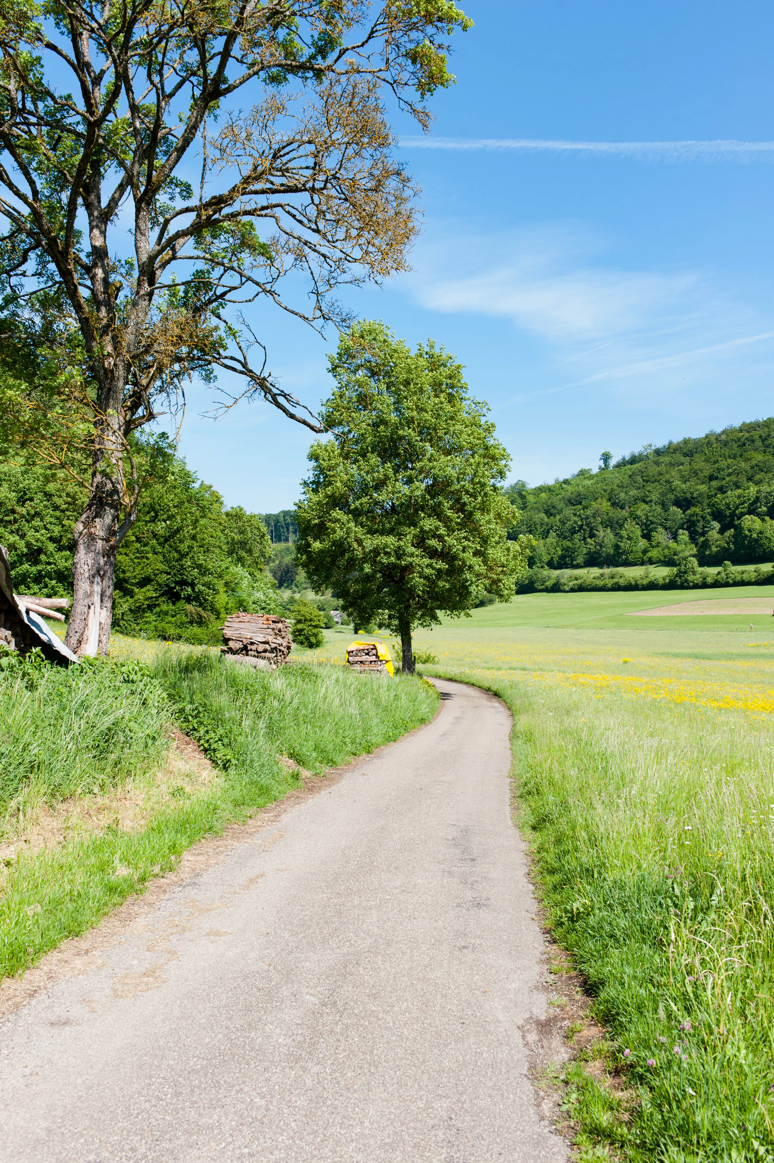 Oberkochen-2.jpg