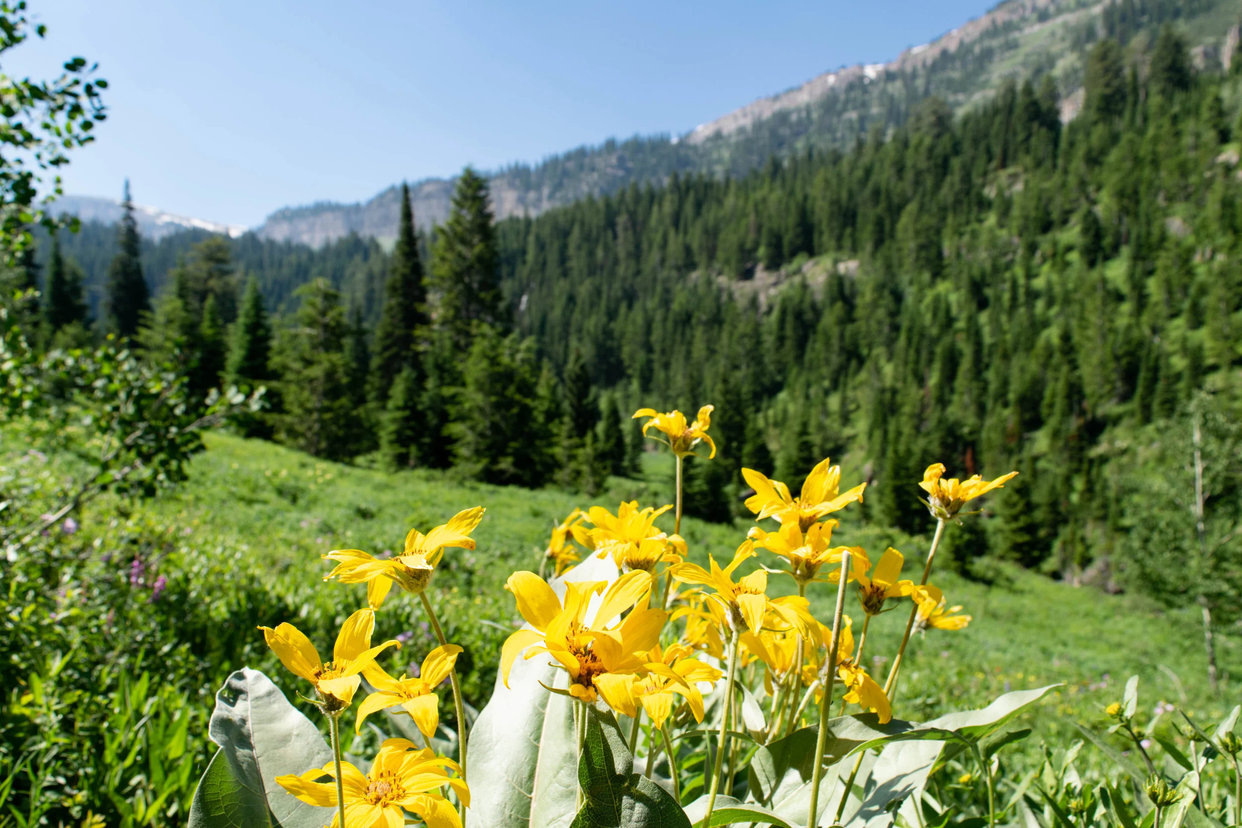 Darby Canyon-5.jpg