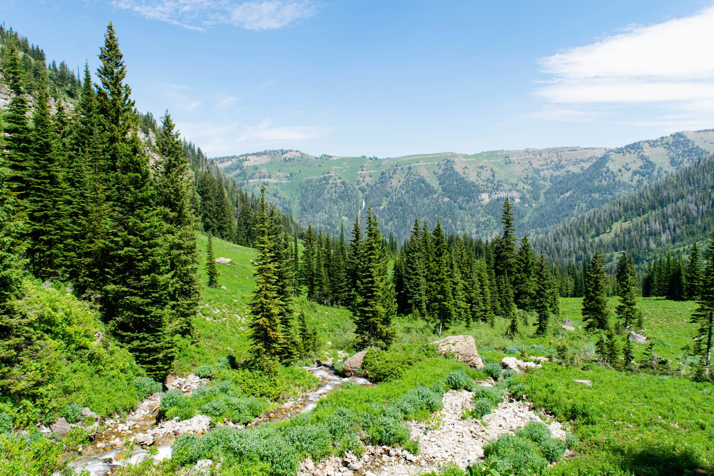 Darby Canyon-14.jpg