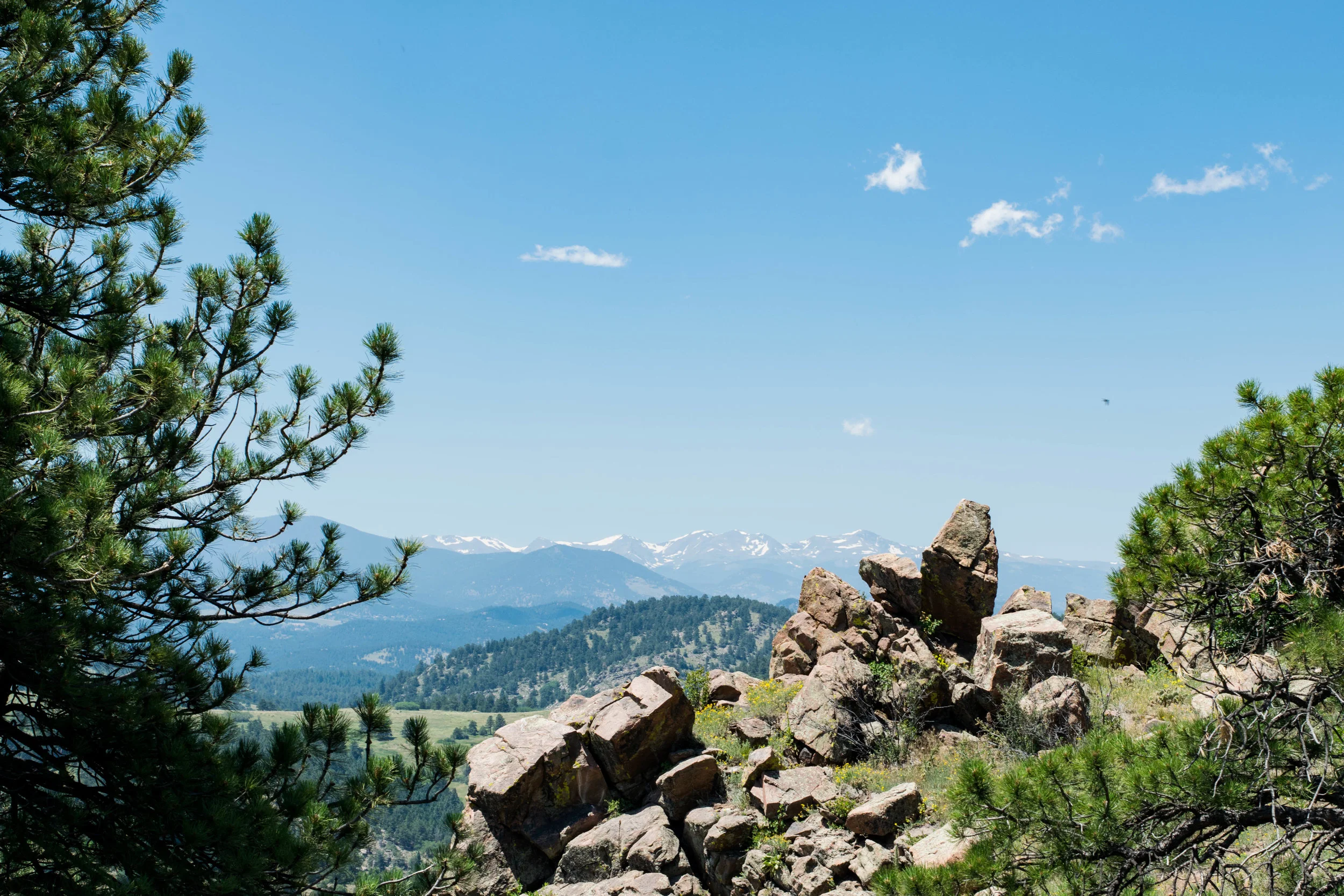 Mt Falcon-16.jpg