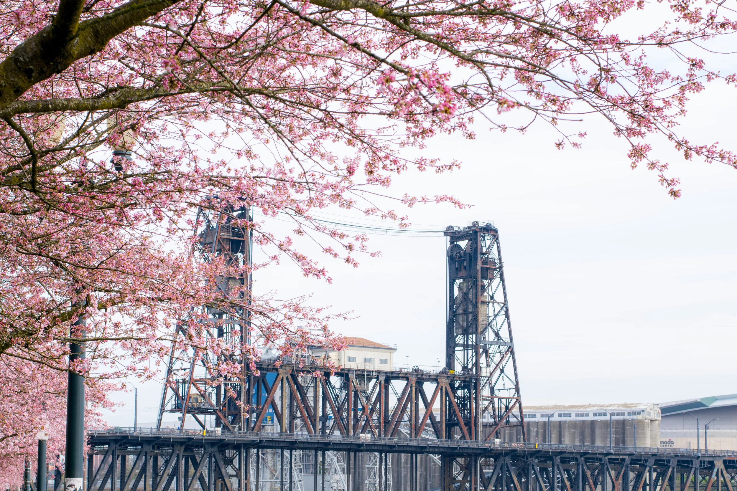 Portland-46.jpg