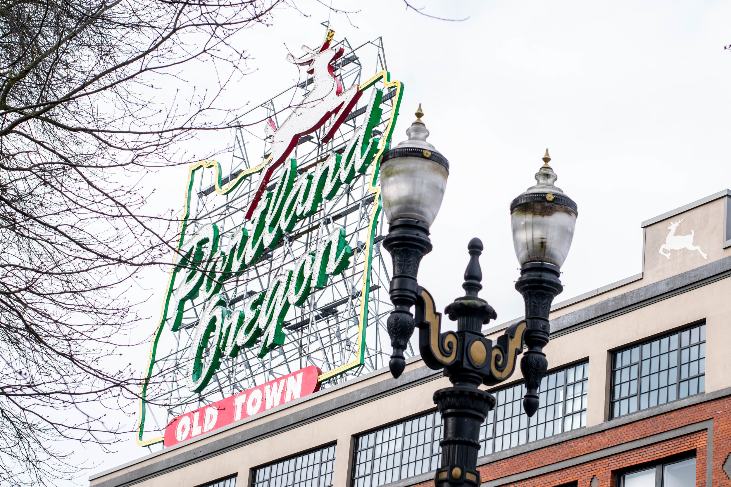 Portland-48.jpg