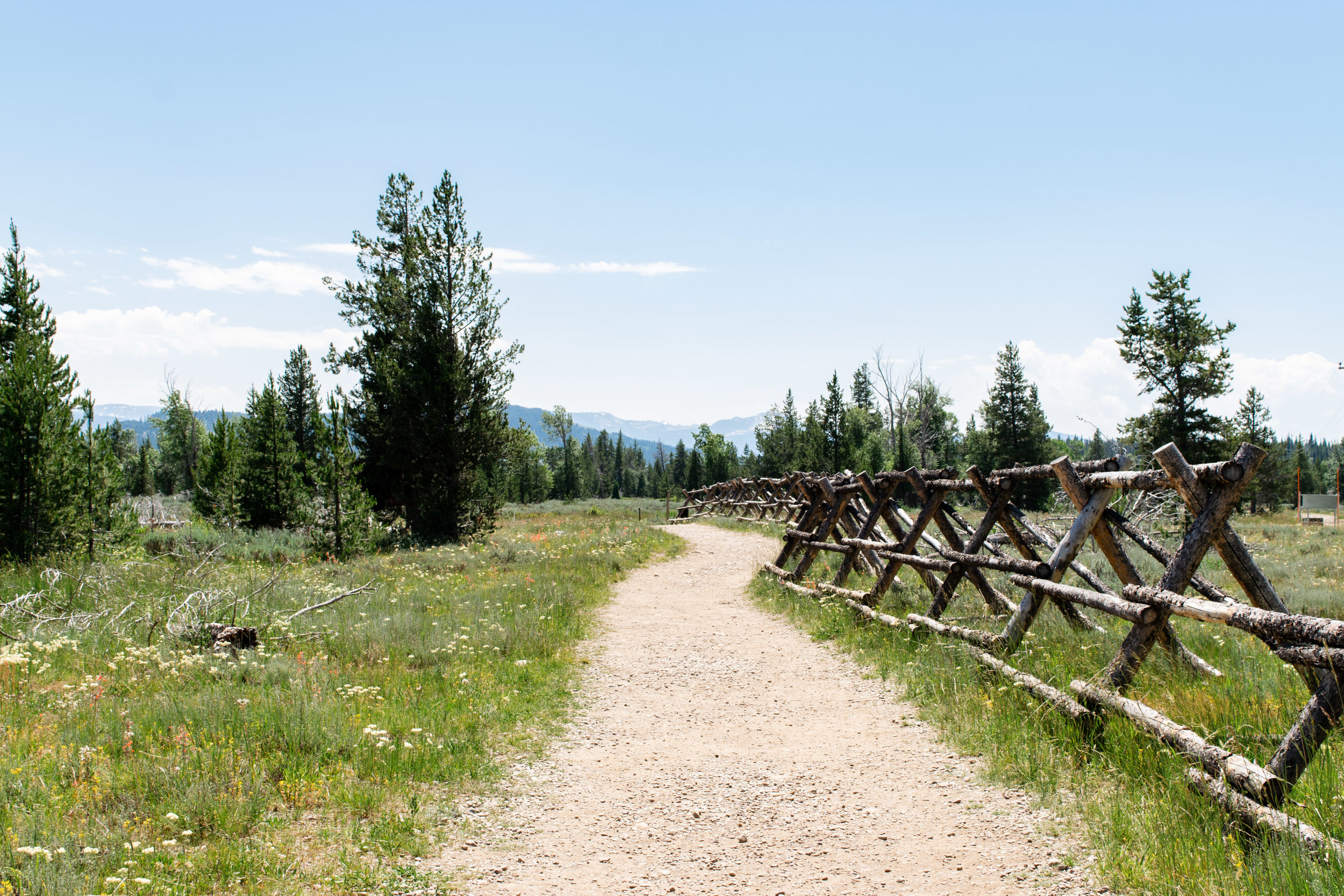 Grand Tetons-15.jpg